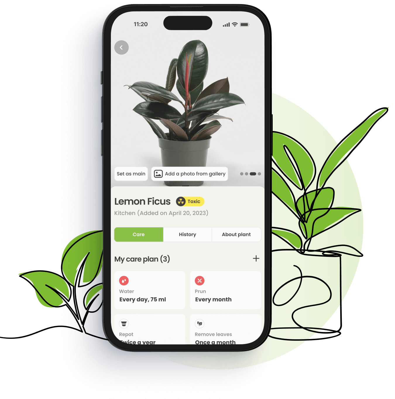 Plant Identification App - Identify Plant | PlantSaver